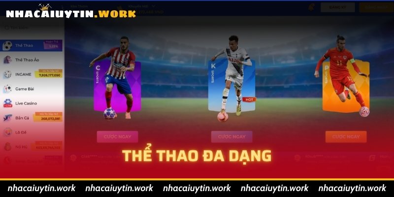 Thể Thao Đa Dạng
